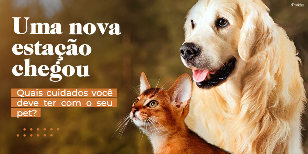 Uma nova estação chegou